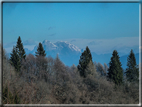 foto Salita dal Monte Tomba a Cima Grappa